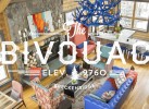 the bivvi fimage