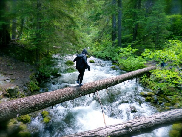 If you've never walked through the woods in Oregon, you're blowing it.  Photo: Aya Doue