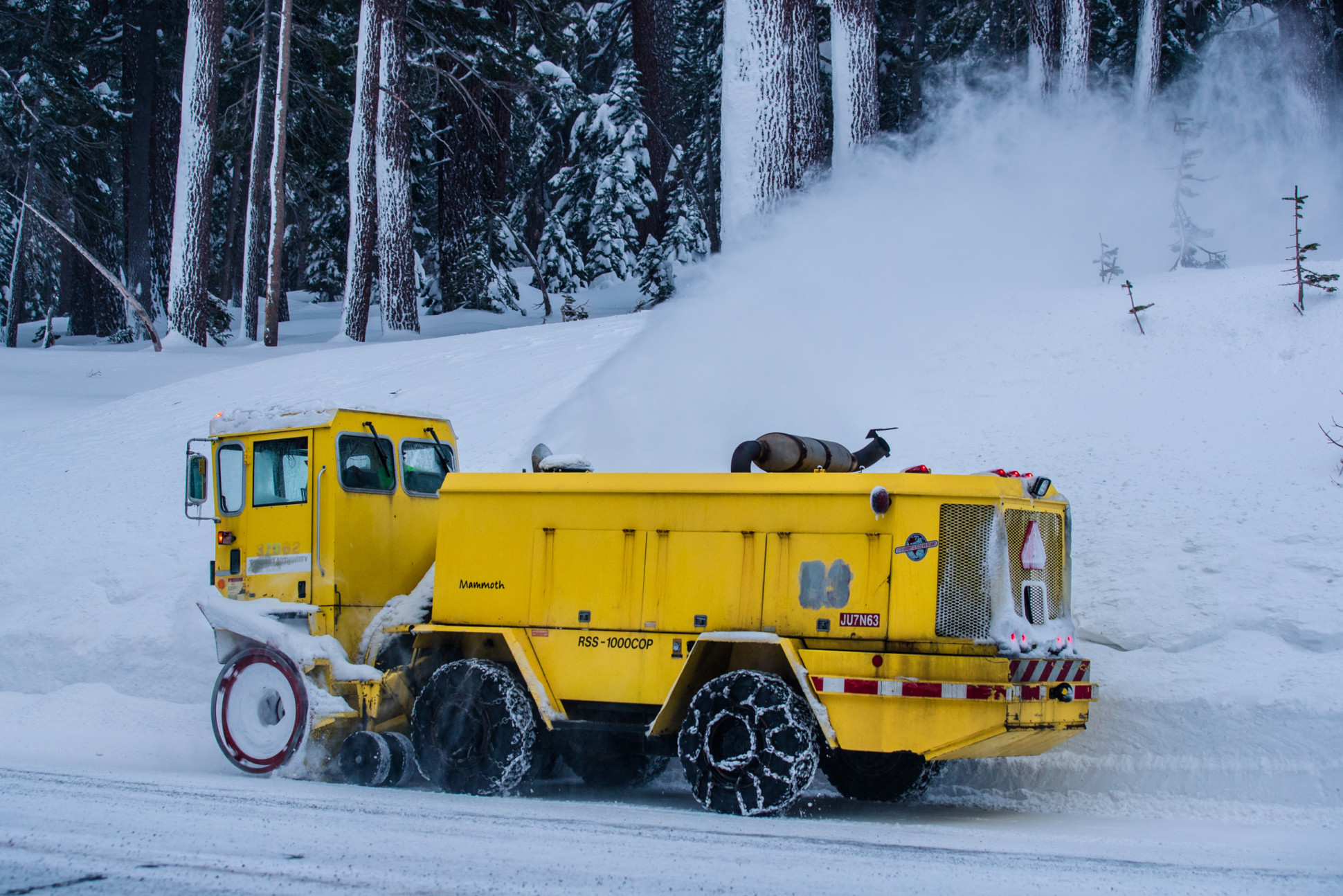 A Foot Of Snow Blankets Mammoth Mountain More Snow Forecasted Gallery   2019 01 16 MM PM NewSnow 0392 970x647@2x 